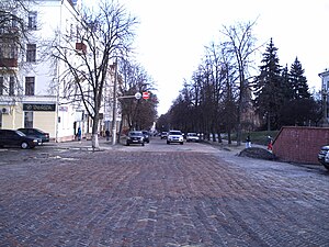 Чернігівська вулиця Гетьмана Полуботка, зима 2011 року