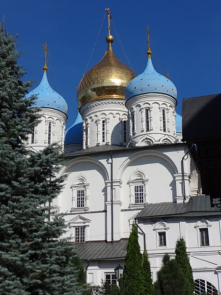 File:Спасо-Преображенский собор Новоспасский монастырь Москва 8.JPG