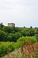 Сутковецький замок у Хмельницькій області.jpg
