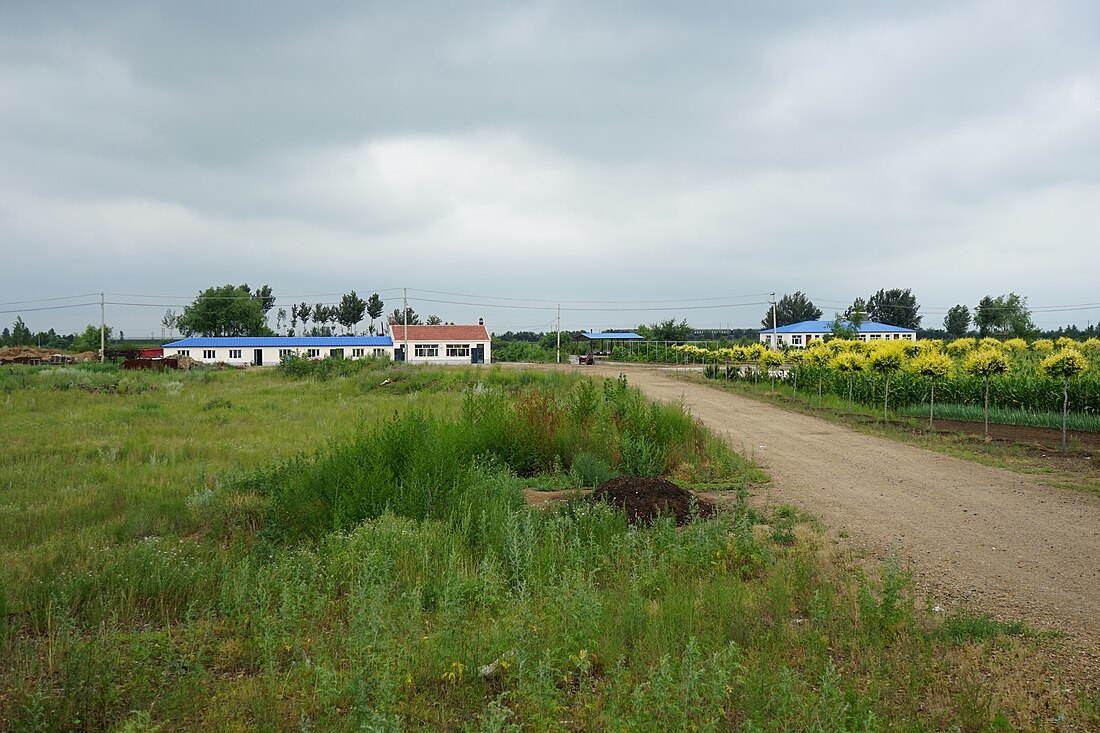 Ang'angxi District