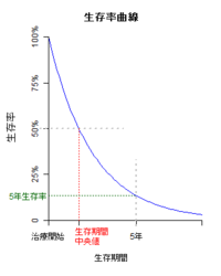生存率曲線.png