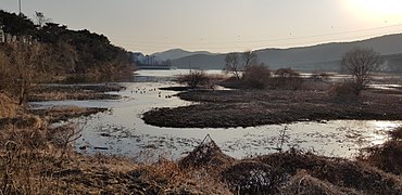 2018년 1월 19일 겨울철 상류지점에서 본 기흥호수 전경