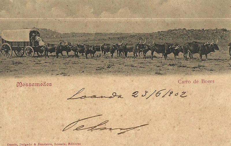 File:1902 Angola Mossamedes Boers Wagon Oxen Span.jpg