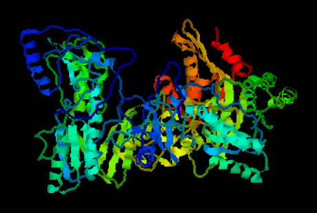 Transcriptasa invèrsa