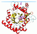 Vignette pour Dihydroorotate déshydrogénase