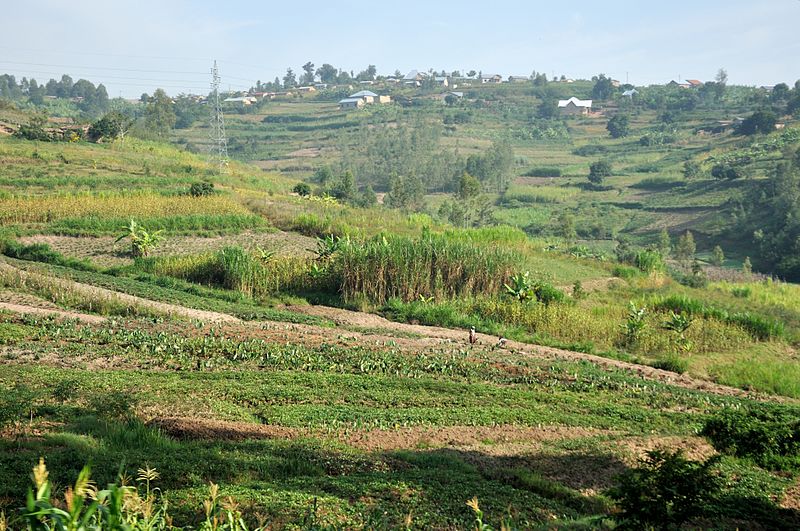 File:2013-06-05 06-23-24 Rwanda Southern Province - Gatizo.JPG