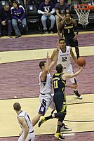 20130103 Nik Stauskas layup.jpg