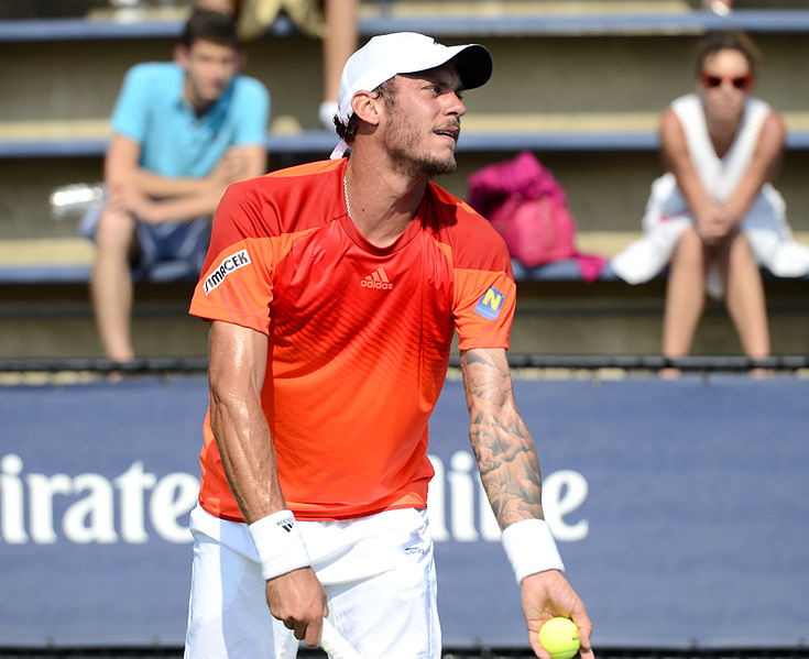 File:2014 US Open (Tennis) - Tournament - Andreas Haider-Maurer (15101037015).jpg