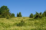 Hungerberg (Naturschutzgebiet)