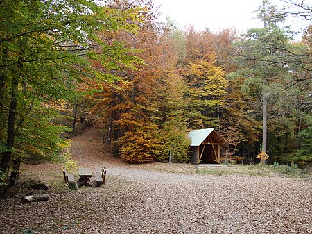 2016 Pfälzerwald 271 Benderplatz