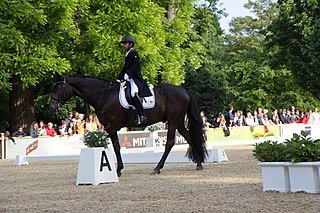 <span class="mw-page-title-main">Anush Agarwalla</span> Indian equestrian (born 1999)