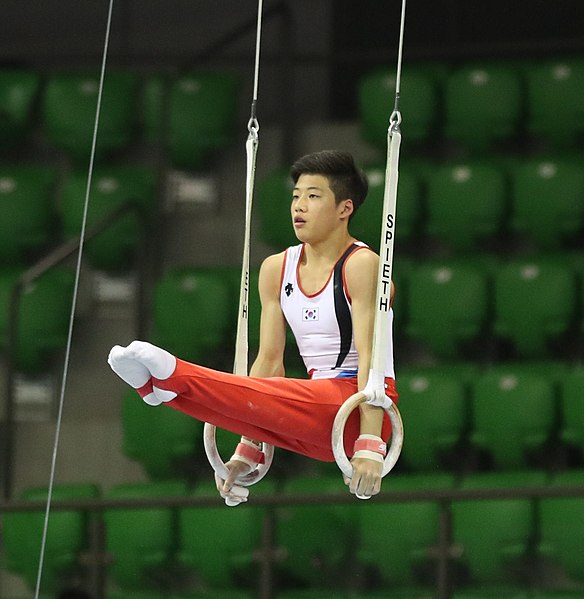 File:2019-06-27 1st FIG Artistic Gymnastics JWCH Men's All-around competition Subdivision 3 Still rings (Martin Rulsch) 167.jpg