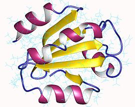 A Thioredoxin cikk szemléltető képe