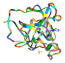 Carbonic anhydrase (ribbon) complex with a sulfonamide inhibitor (ball-and-sticks) 4ITO2.png