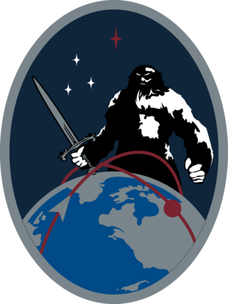 <span class="mw-page-title-main">9th Combat Training Squadron</span> U.S. Space Force unit