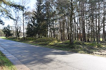 Urnenveld Pastoorsbos (Grafheuvels Grote Haart)