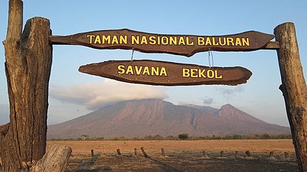 The Africa Van Java, Baluran National Park