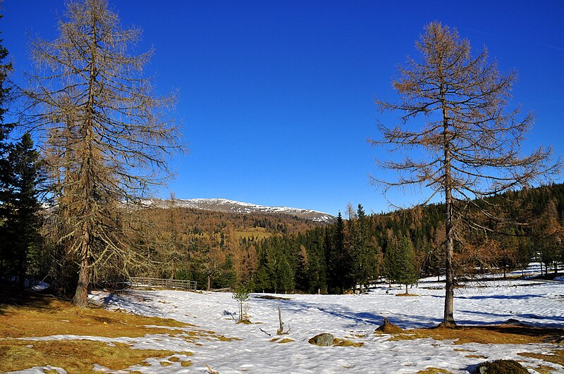 File:Albeck Hochrindl Alm im Spätherbst 22112009 44.jpg