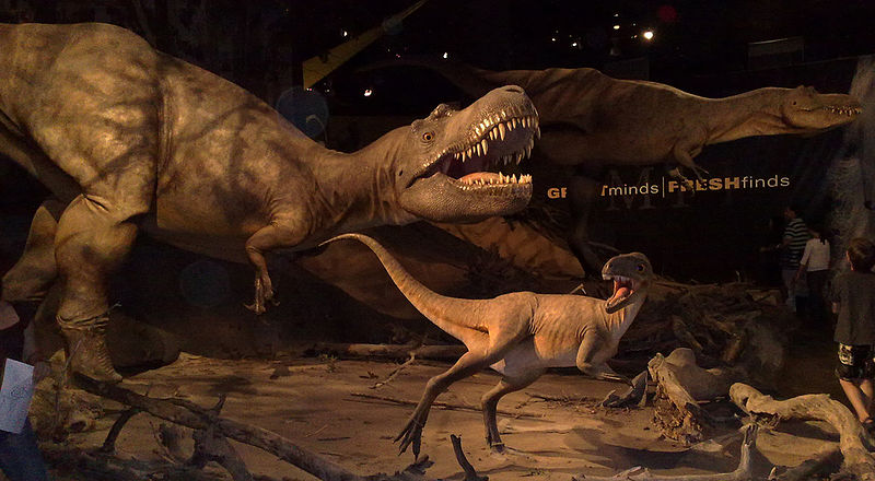 File:Albertosaurs.jpg