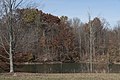 * Nomination Alum Creek State Park -- Sixflashphoto 02:26, 20 November 2017 (UTC) * Promotion Good quality. -- Johann Jaritz 02:51, 20 November 2017 (UTC)