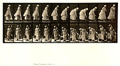 Animal locomotion. Plate 437 (Boston Public Library).jpg