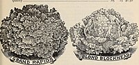 Thumbnail for File:Annual illustrated catalogue of seeds (1894) (17805014433).jpg