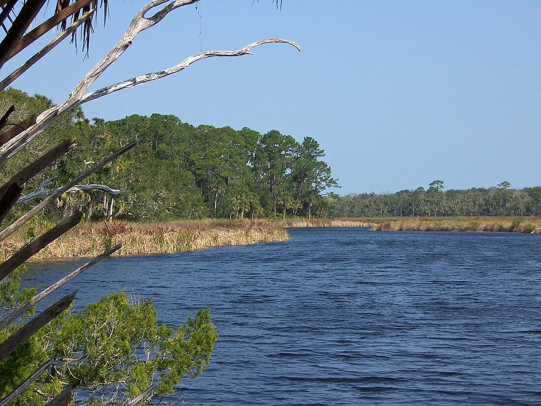 Bulow Creek State Park