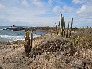 Anse Braham et Table du Diable