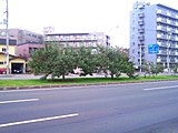 道道89号札幌環状線（環状通）のリンゴ並木（2008年10月）
