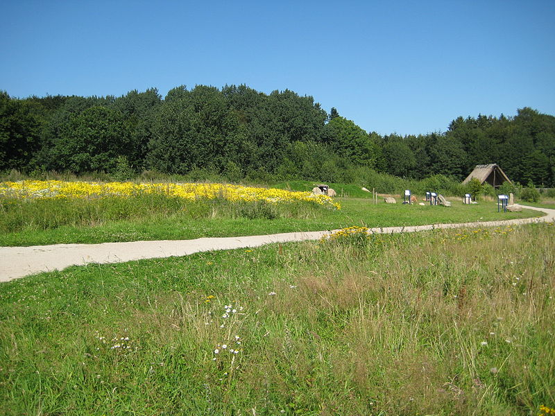 File:Archäologisch-Ökologisches Zentrum Albersdorf IMG 0057.JPG