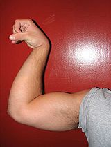 Arm flex pronate.jpg