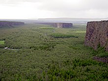 Vue de l'Ásbyrgi depuis le sommet de la falaise avec l'Eyjan au centre.