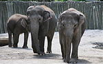 Vorschaubild für Oregon Zoo