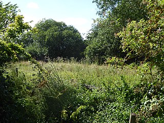 <span class="mw-page-title-main">Aslacton Parish Land</span> UK Site of Special Scientific Interest