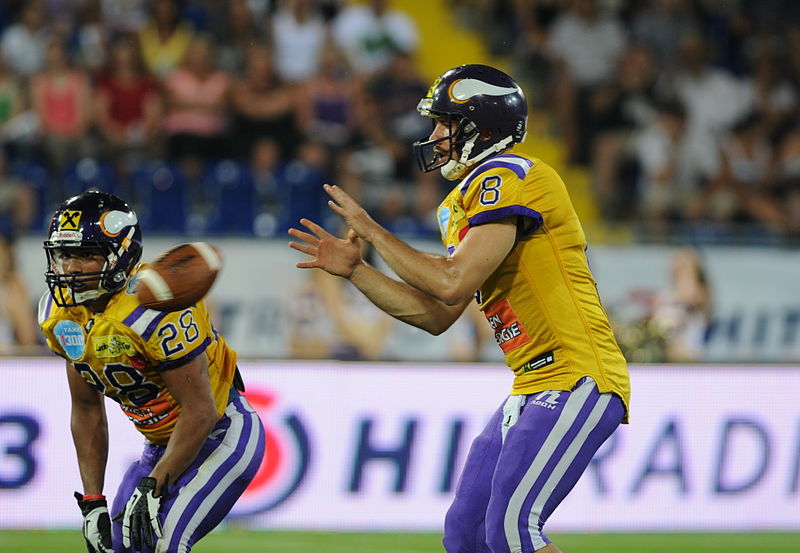 File:Austrian Bowl 2013-141.JPG