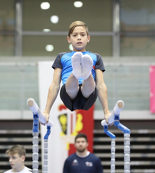 File:Austrian Future Cup 2018-11-23 Training Afternoon Parallel bars (Martin Rulsch) 0339.jpg