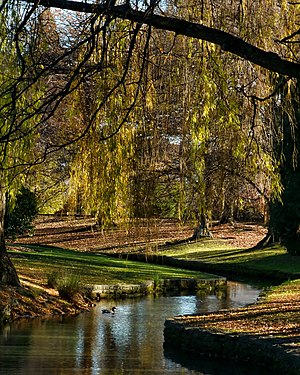 Autumn Scene at Pollard Park (7368025342).jpg