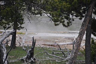 Baby Daisy Geyser geyser in the Upper Geyser Basin of Yellowstone National Park