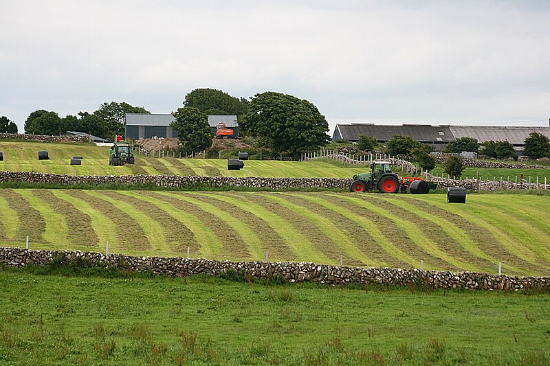 File:Baling the silage.jpg