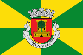 Bandera de Olivenza Jironada de verde y oro