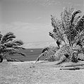 Beit yerah Panorama met gezicht op het Meer van Tiberias met omliggende heuvels, Bestanddeelnr 255-4129.jpg