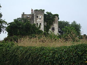 Beyrie-sur-Joyeuse (Pyr-Atl, Fr) Le château à restaurer.JPG