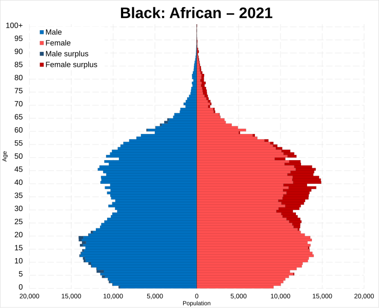 File:Black African population pyramid 2021.svg