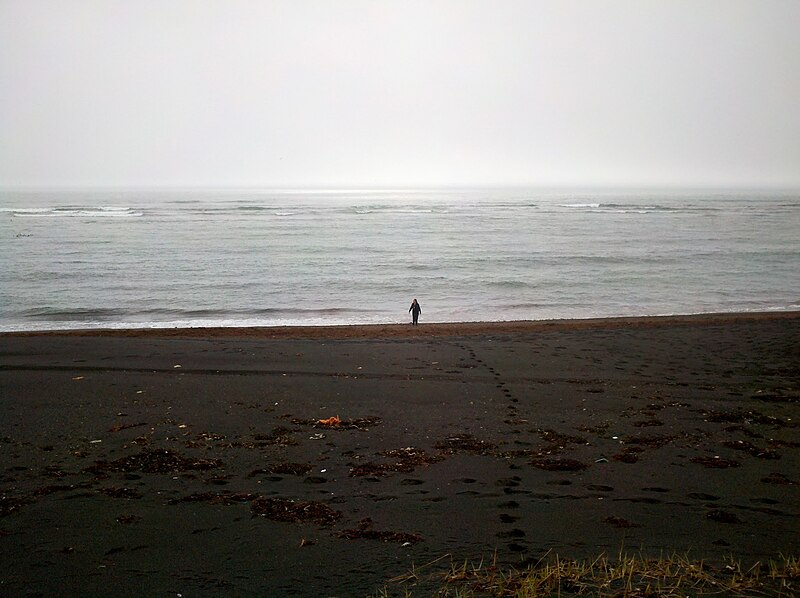 File:Black sand beach outside Reykjavik, Iceland (Eyrarbakkevegur).jpg