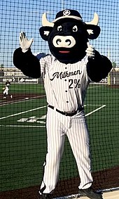 Milwaukee Milkmen mascot Bo Vine pumping up the crowd before a game at Franklin Field. Bo Vine.jpg