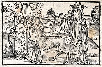 A woodcut of the fable from Sebastian Brant's 1501 collection Brant Goat and vine.jpg