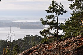 Illustrasjonsbilde av artikkelen Kolmården