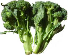 404 Broccoli