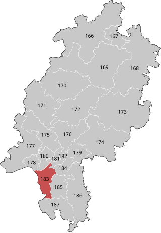 <span class="mw-page-title-main">Groß-Gerau (electoral district)</span> Federal electoral district of Germany