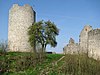 Kallmünz castle ruins GO-2.jpg